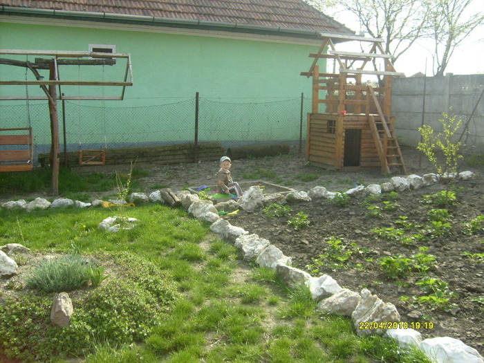 S6303439 - gradina mea 2010