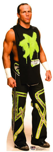 WWESuperStarShawnMichealsDXCardBoar