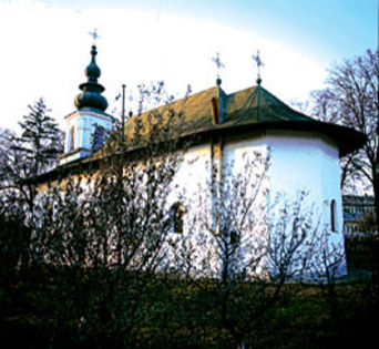 biserica Dolhestii Mari - b-manastiri