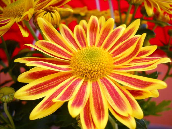 Picture 033; 1.73mb jpeg 4/24/2010
