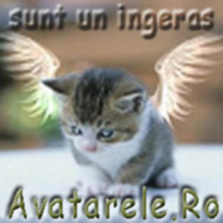 11692537_VCVQGEEBF - avatare cu animale