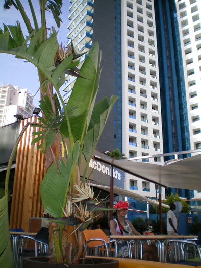 Benidorm