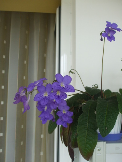 DSCF7074