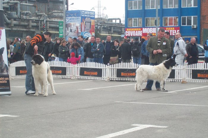 101_0523 - Expo suceava 2010 25 aprilie