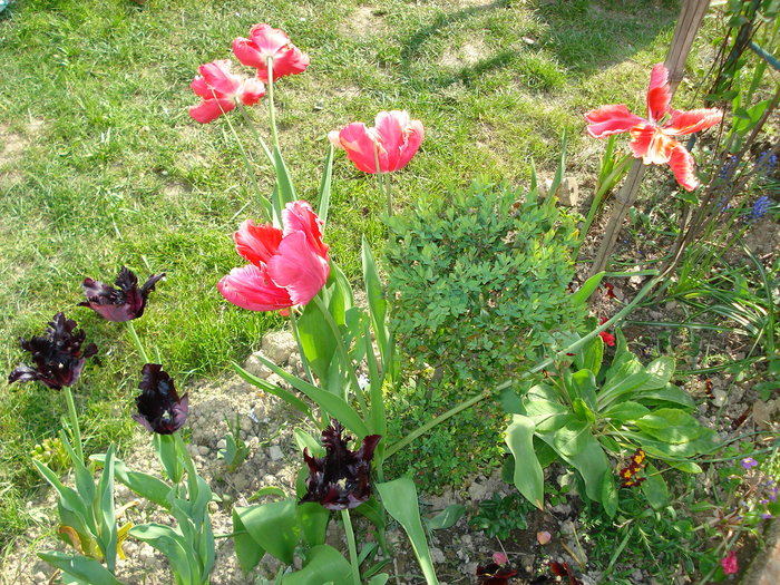 DSC02395