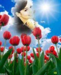 SCXKHONUZSMIVGZFDDX - vanessa hudgens