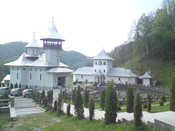 Manastirea Crisan - Tara mea