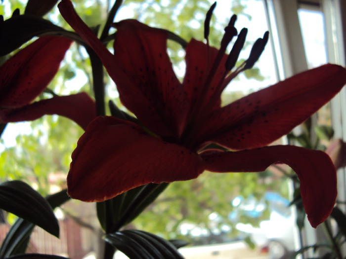 DSC01060