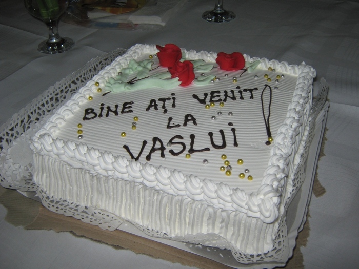 096 - Vaslui 2010