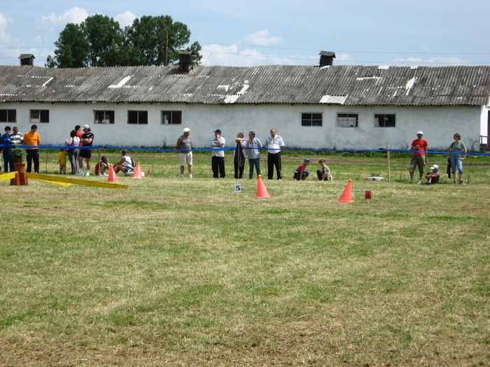 Picture 066