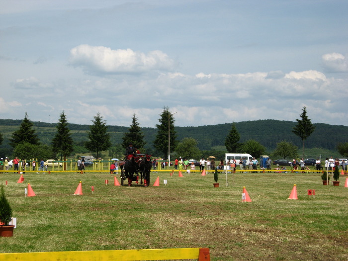 Picture 070