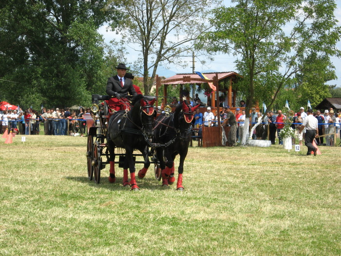 Picture 077