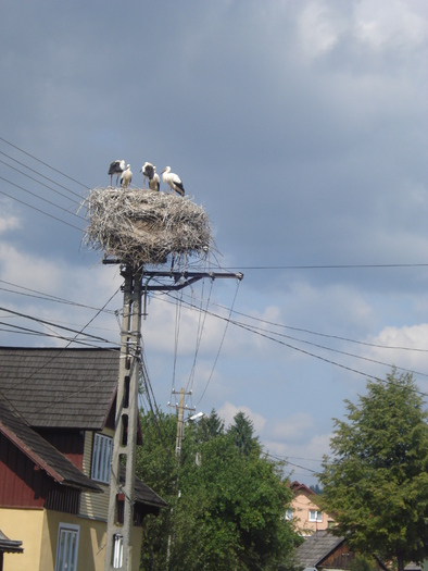 DSC07027 - Pitoresc din Romania