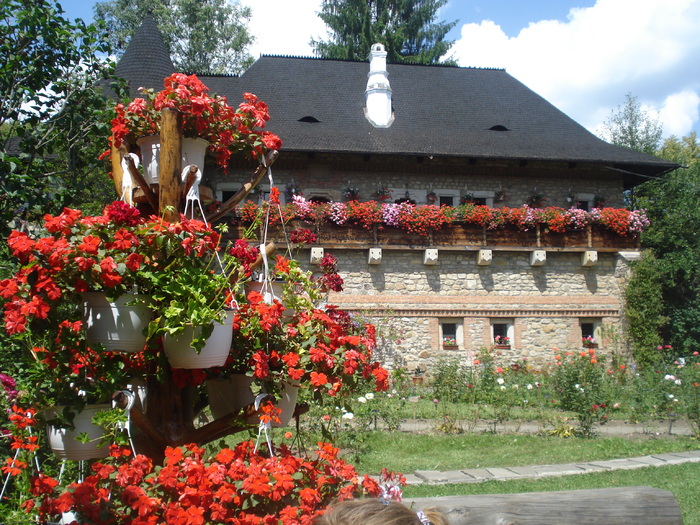 DSC07058
