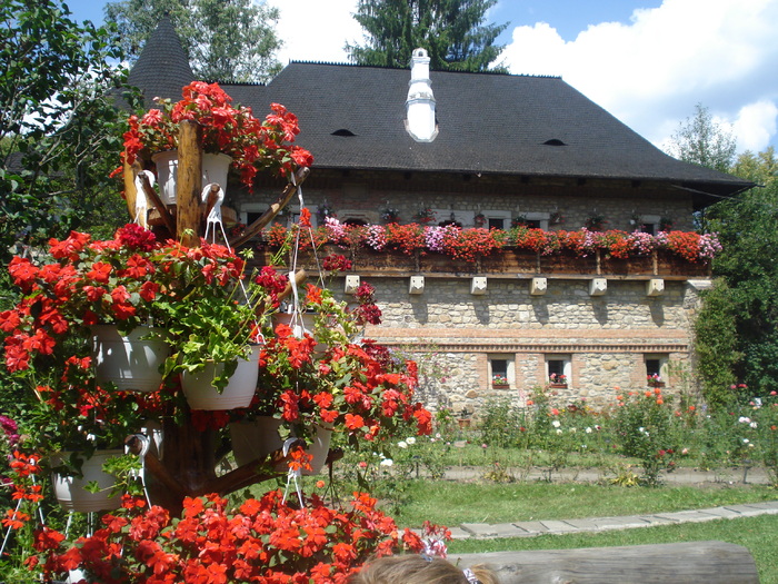 DSC07058 - Pitoresc din Romania