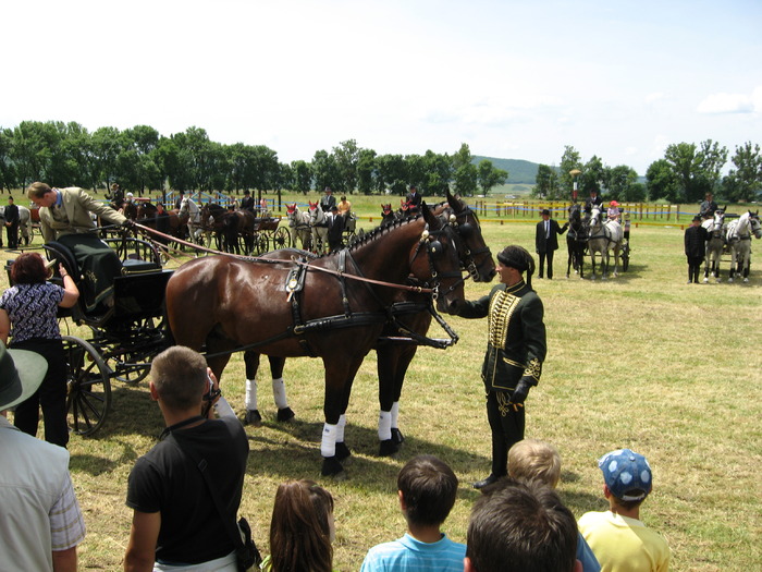 Picture 127 - cai Beclean 2008