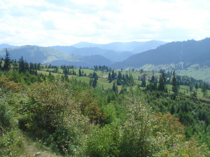 DSC07085