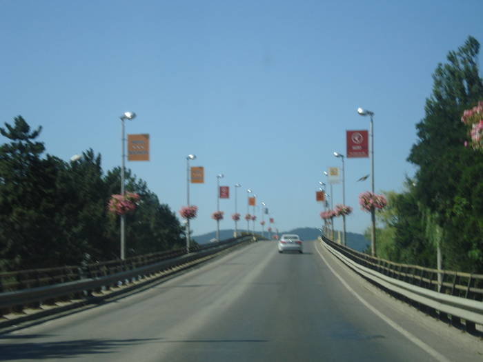 DSC07121