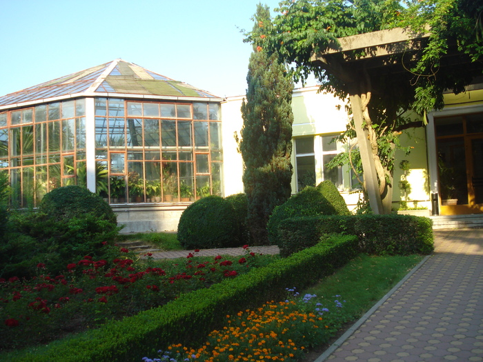 DSC07170