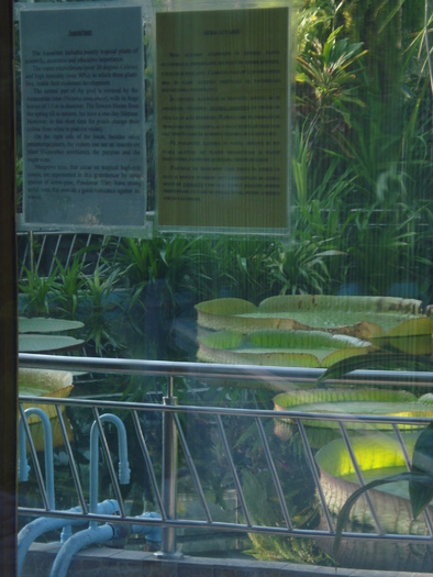 DSC07174