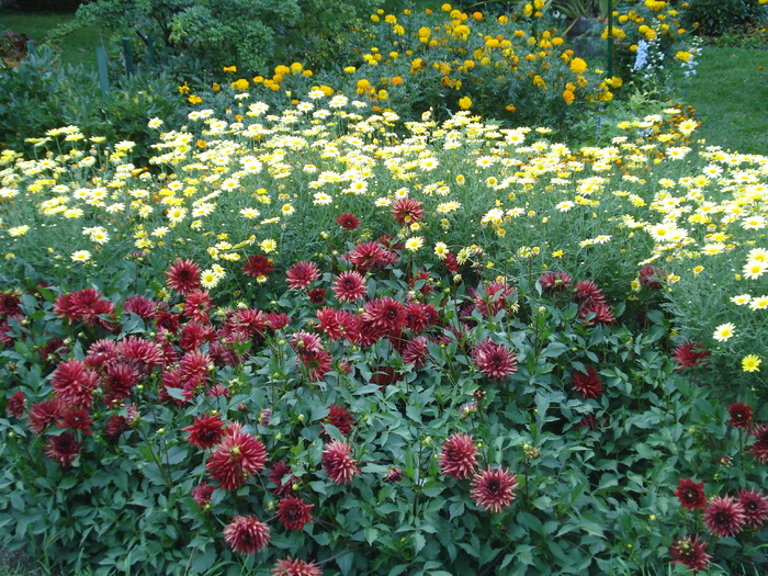 DSC07189