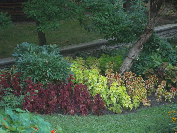 DSC07190