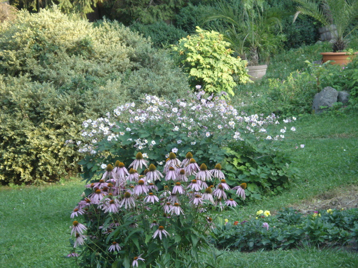DSC07191
