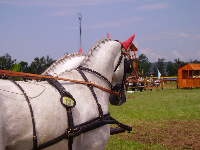 Cai Beclean 2009 063