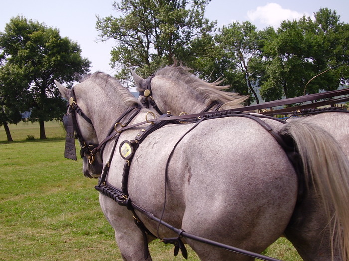 Cai Beclean 2009 064
