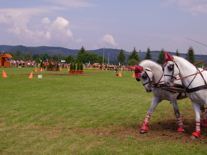 Cai Beclean 2009 067