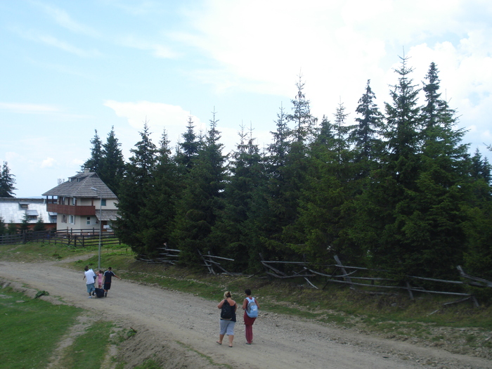 DSC07312