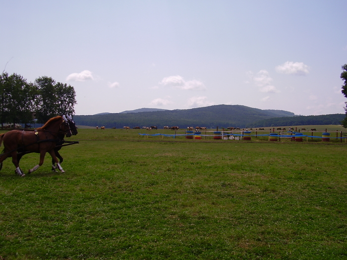 Cai Beclean 2009 071