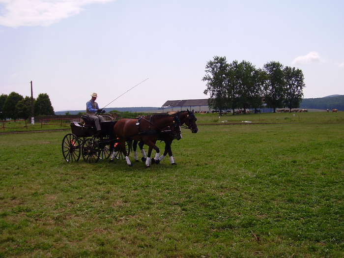 Cai Beclean 2009 072