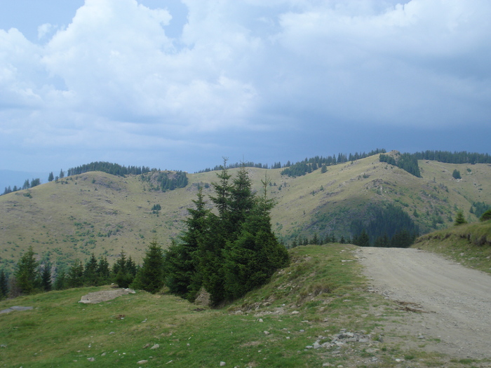 DSC07314
