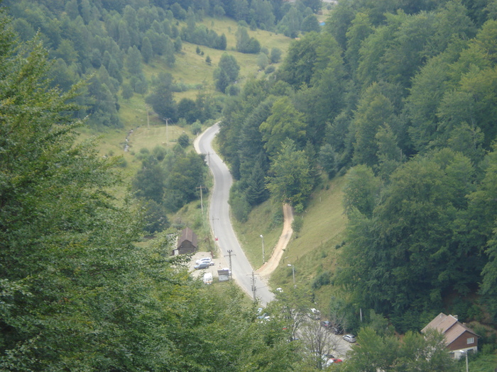 DSC07320