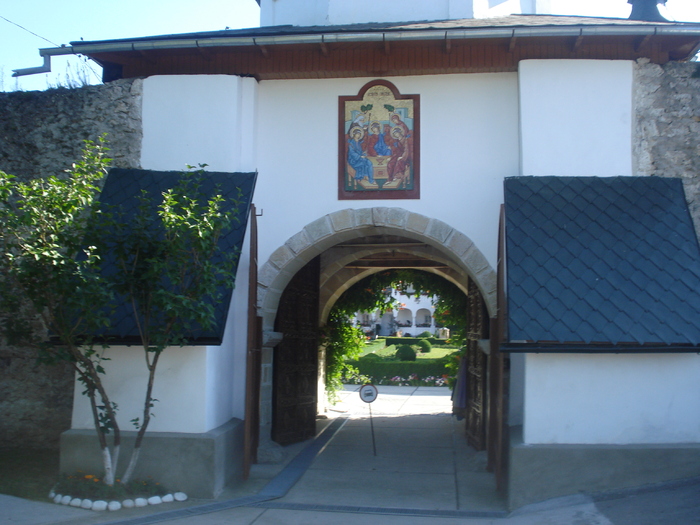 DSC06402