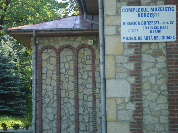 DSC06424