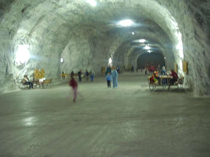 DSC06445