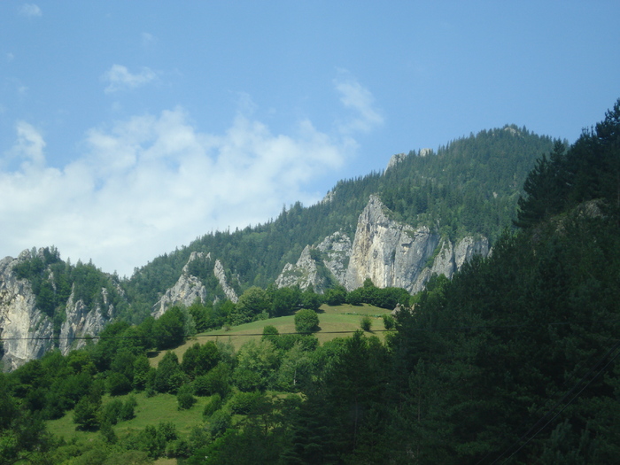 DSC06515
