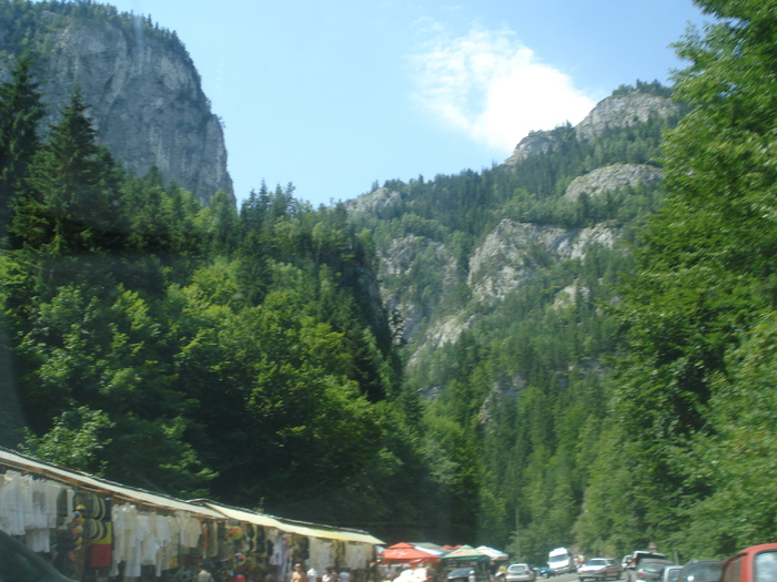 DSC06519