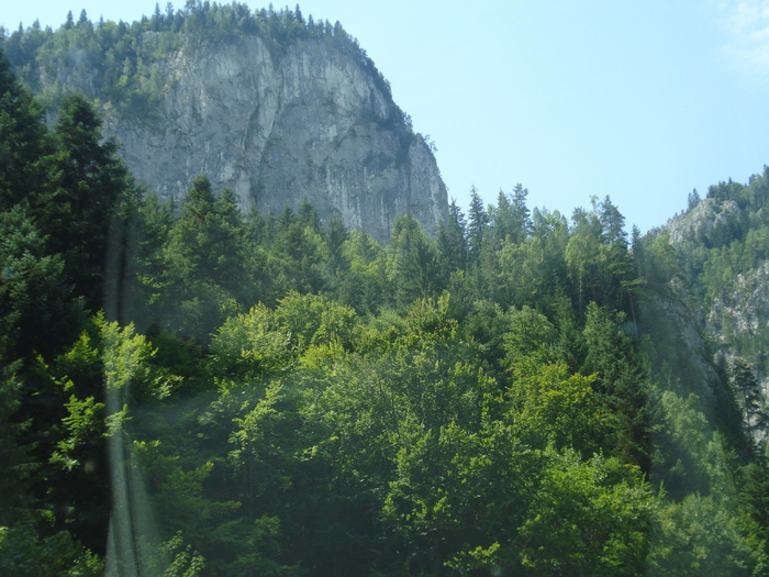 DSC06520