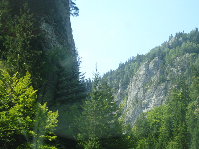 DSC06528