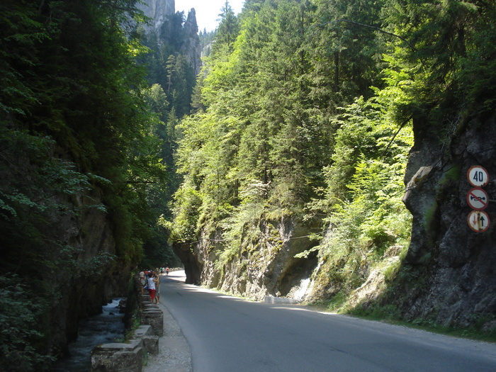 DSC06531