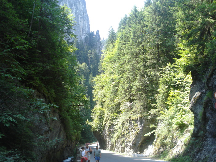 DSC06533