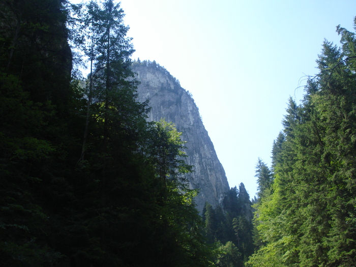DSC06534