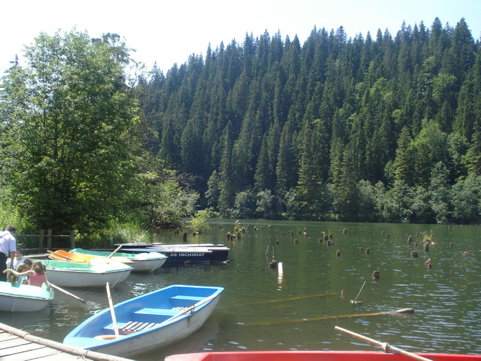 DSC06547