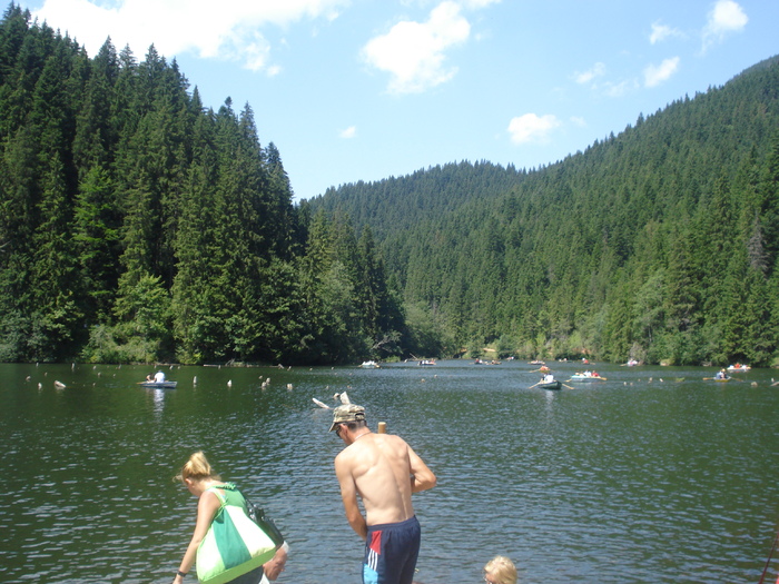 DSC06550