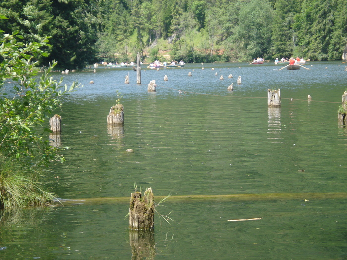 DSC06558