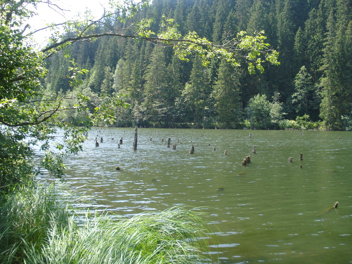 DSC06568