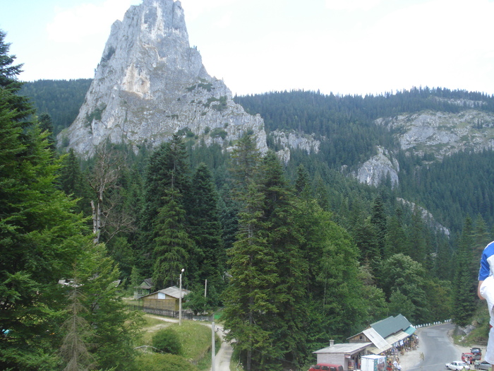 DSC06584